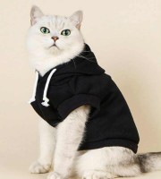 Winter Cat Premimum Dress Black